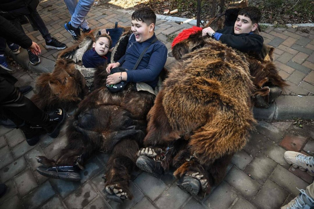 découvrez comment des escrocs se déguisent en ours aux états-unis pour tromper leurs victimes et quelles sont les mesures pour les arrêter.